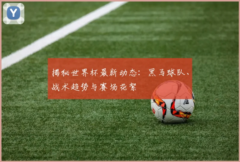 揭秘世界杯最新动态：黑马球队、战术趋势与赛场花絮