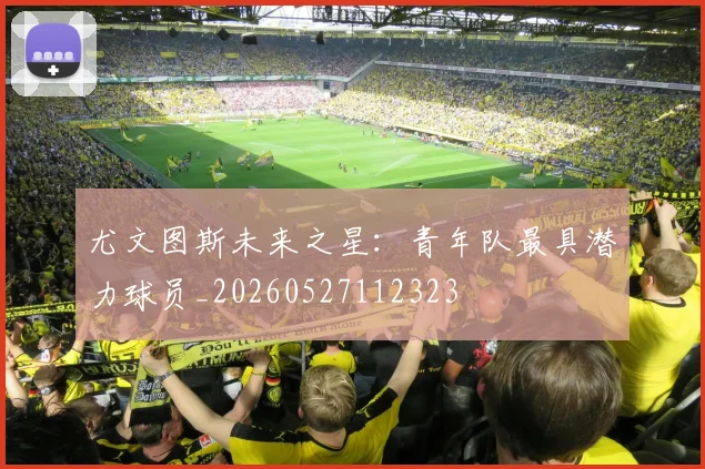 尤文图斯未来之星：青年队最具潜力球员_20260527112323
